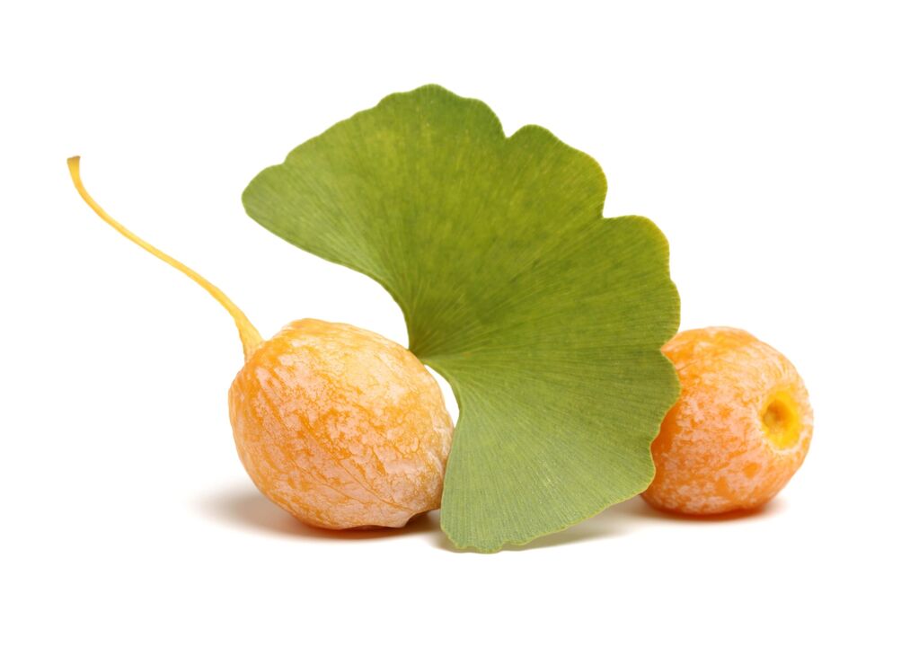 Ginkgo Biloba në Erectil