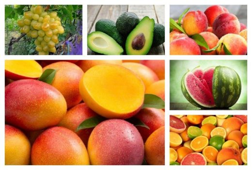 Frutat për fuqi