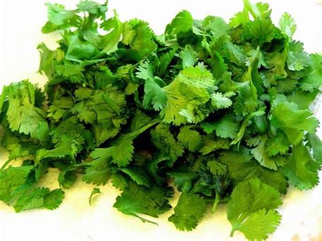 Cilantro përmban vitamina A, B dhe C që janë të dobishme për fuqinë mashkullore. 